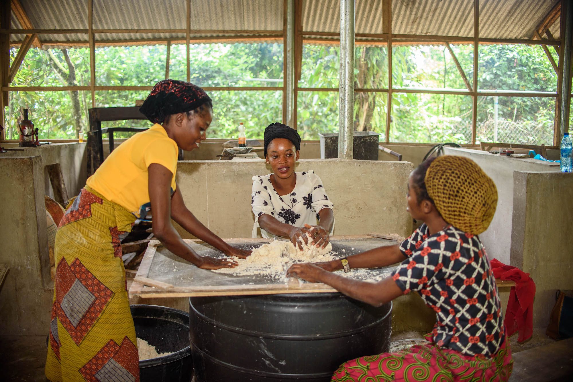 three women working with cassava plant in front of a window